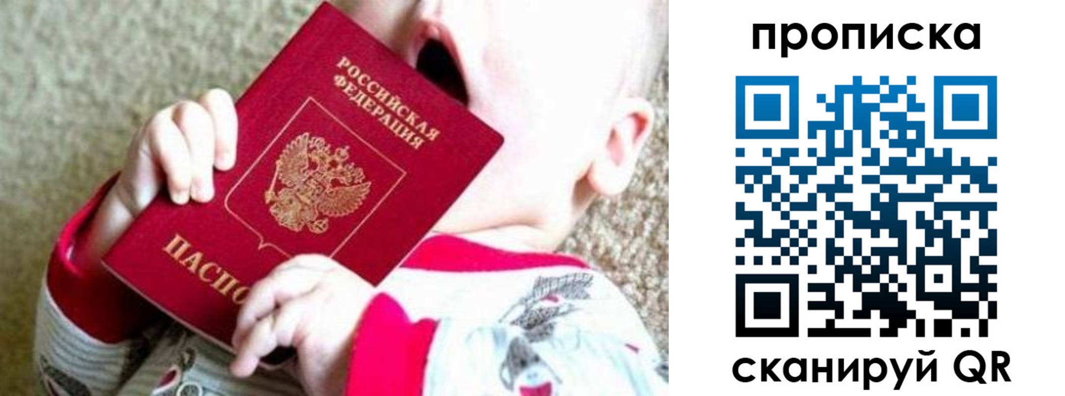 прописка законно в Курчалом